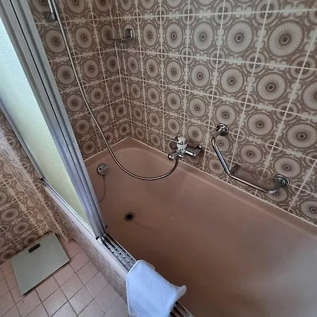 Bright Alpine Duplex With Balcony Views 公寓 Glis